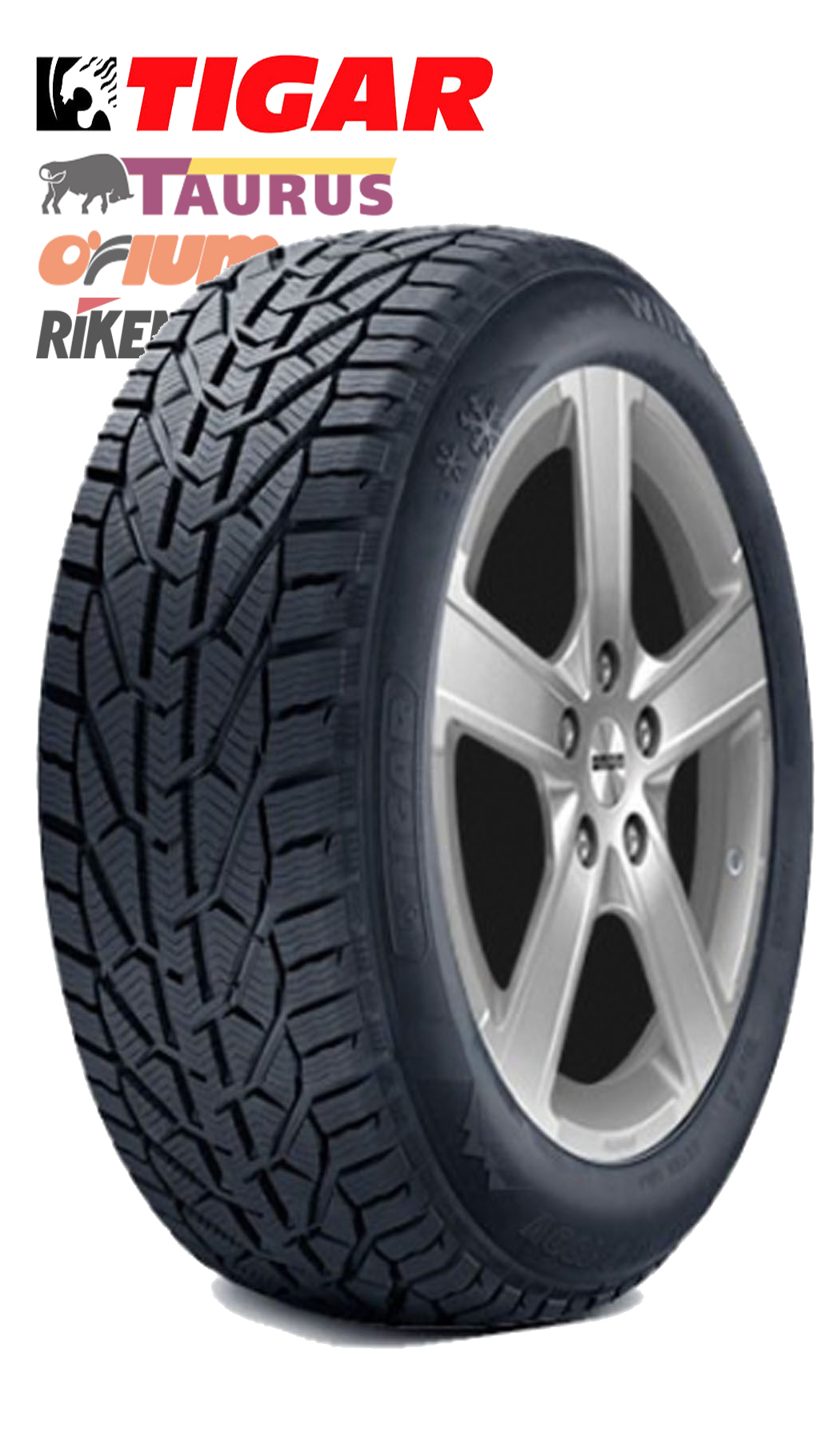 Winter  XL